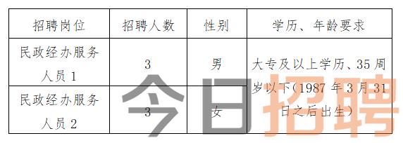 遂昌县统计局最新招聘信息概览，遂昌县统计局最新招聘启事概览